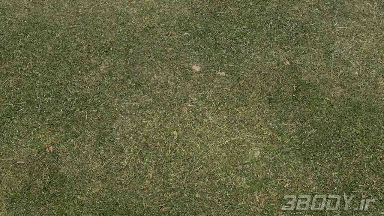 متریال چمن grass lawn عکس 1